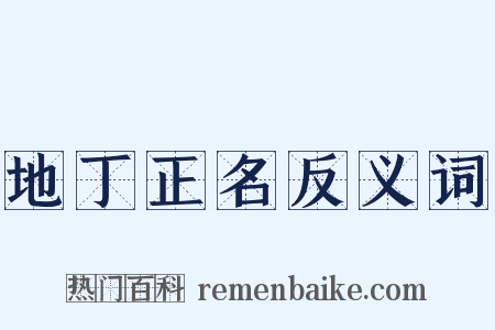 地丁正名反义词是什么意思的图片